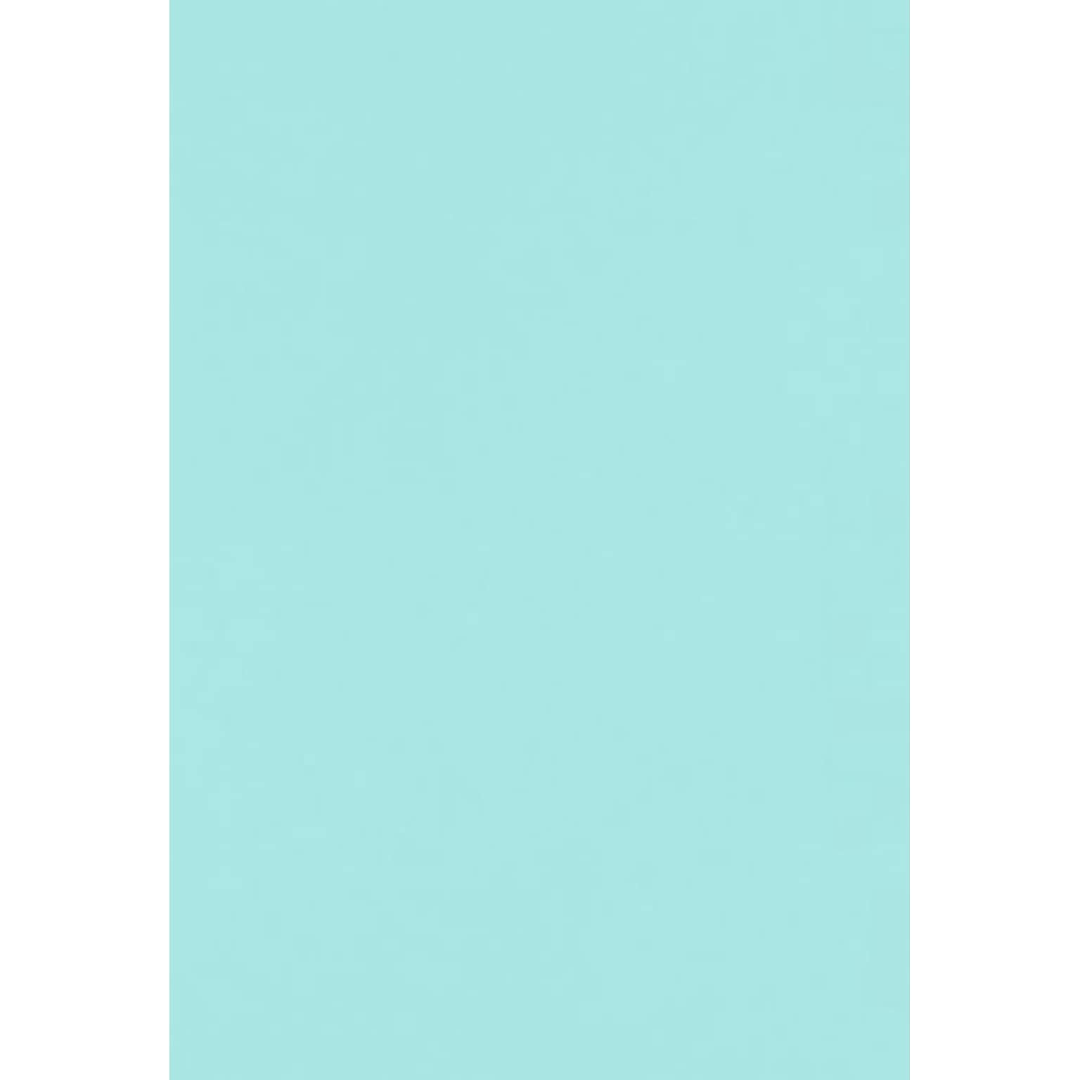 LUX Cardstock, 13 x 19, Sea Foam, 1000 Sheets/Pack (1319-C-113-1000)