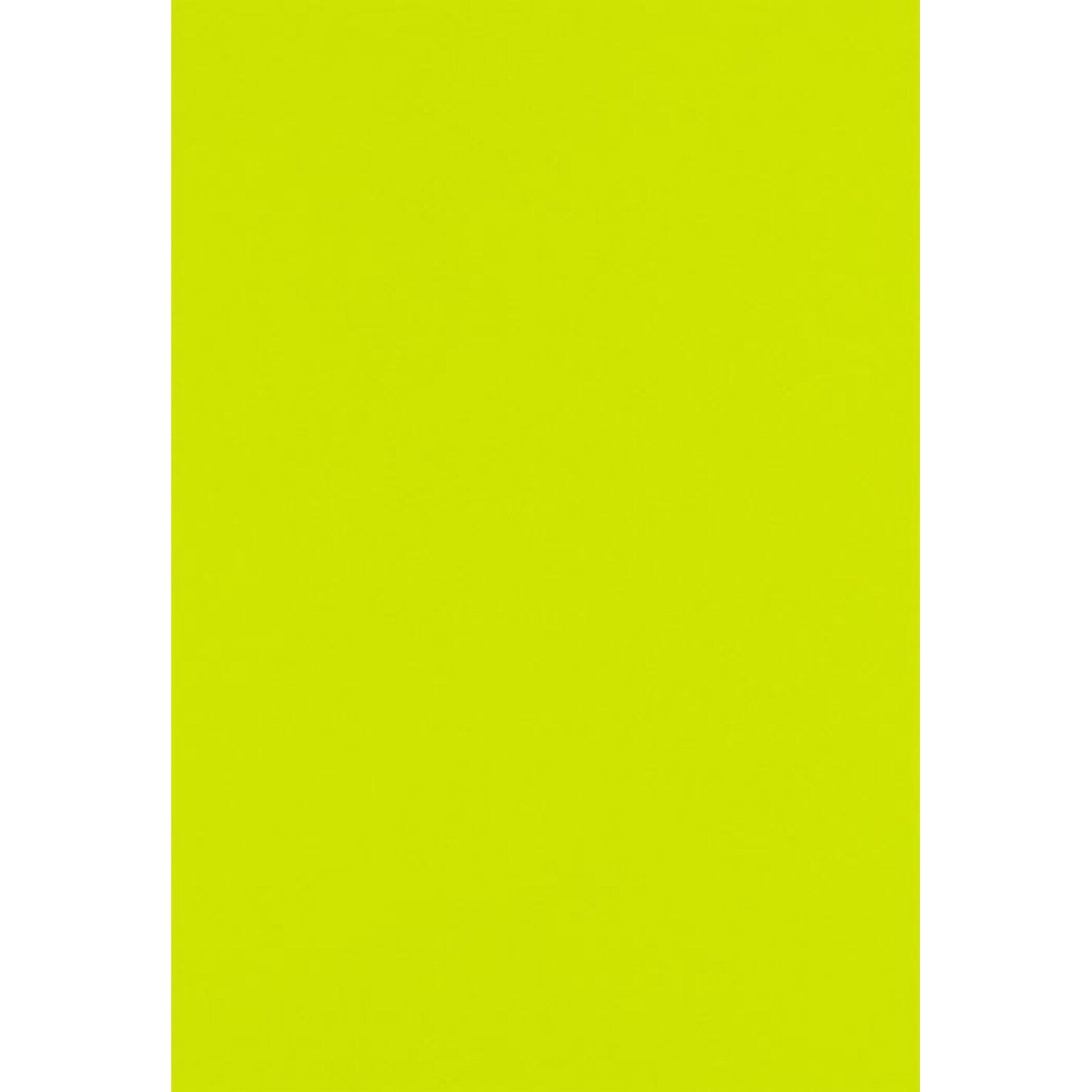 Lux Paper 13 x 19 inch Wasabi 1000/Pack
