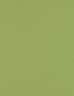 Lux Paper 8.5 x 11 inch 80 lbs. Avocado 500/Pack