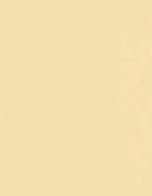 Lux Paper 8.5 x 11 inch 80 lbs. Nude 500/Pack