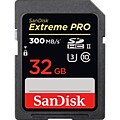 SanDisk Extreme Pro 32 GB SDHC (SDSDXPK-032G-ANCIN)