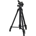 Sunpak® 2001UT 49 Floor Standing Video/Photo Tripod, Champagne