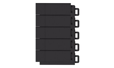 Centon USB 2.0 Datastick Pro2 (Black,), 16GB, 10 Pack