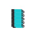 Centon USB 2.0 Datastick Pro2 (Aqua), 8GB, 10 Pack