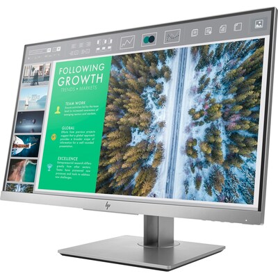 HP Business E243 23.8" LED LCD Monitor