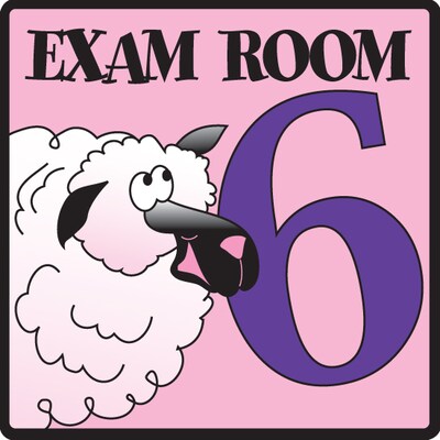 Clinton Industries Exam Room 6 Sign