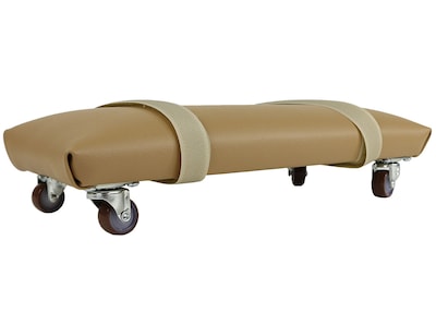 Exercise Skate, Large (12 x 6)