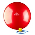2000lbs Static Strength Exercise Stability Ball with Pump, 65cm, Red