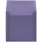 JAM Paper Booklet Envelope, 5 1/2" x 5 1/2", Wisteria Purple, 50/Pack (PACV504I)