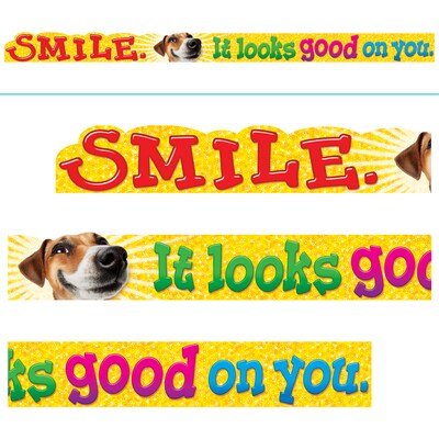 Trend Enterprises® 1st - 6th Grade 10 ARGUS® Banner, Smile. It Looks Good On You