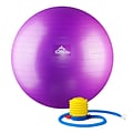 Professional Grade Stability Ball, Pro-Series 1000lbs Anti-burst 2000lbs Static Weight Capacity, 65cm, Purple