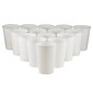 JAM Paper® Plastic Party Cups, 16 oz, White, 20 Glasses/Pack (22555216wh)