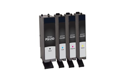 Quill Brand® Remanufactured Black/C/M/Y Standard Yield Ink Cartridge Replacement for Canon PGI-250/CLI-251 (6497B004), 4/Pack