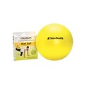 Hygienic/Theraband Mini Ball with Instructional Mini-Poster, Yellow, 9 Diameter, 24 (23085)