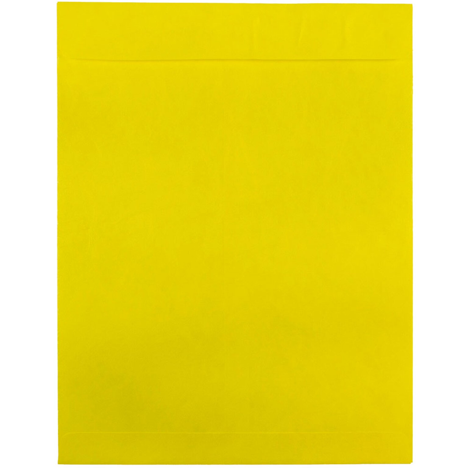 JAM Paper Tyvek Open End Clasp #13 Catalog Envelope, 10 x 13, Yellow, 10/Pack (V021385B)
