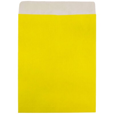 JAM Paper Open End Clasp #13 Catalog Envelope, 10" x 13", Yellow, 10/Pack (V021385B)