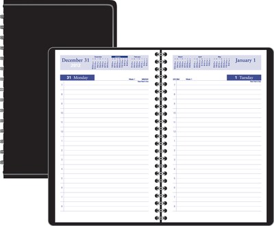 2019 Quill Brand® Small Daily Appointment Book/Planner, 4-7/8 x 8 (52158-19-QCC)