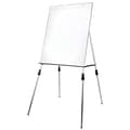 Flipside Dry Erase Easel with Adjustable Legs, Aluminum Frame, 46 x 5 x 29.5 (FLP51000)