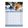 2019 Brownline® 12-Month Monthly Wall Calendar, 12 x 17, Wildlife Theme (C173108-19)