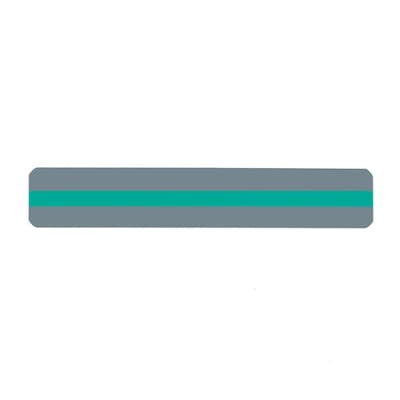 Ashley® Green Reading Guide Strip, 7-1/4(L) x 1-1/4(W) (ASH10805)