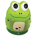 Ashley Mechanical Timer, Frog, 60-Minute Countdown, Ages 5-18 (ASH50002)