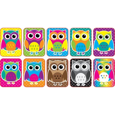 Color Owls Mini Whiteboard Erasers Non Magnetic, 10/Pk (ASH78007)