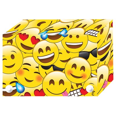 Emojis Index Cards Boxes 4X6in Decorated Poly, 6/set (ASH90403)