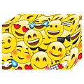 Emojis Index Cards Boxes 4X6in Decorated Poly, 6/set (ASH90403)