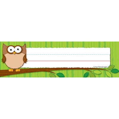 Carson-Dellosa Desk Nameplates, Owls