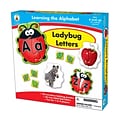 Ladybug Letters Puzzle