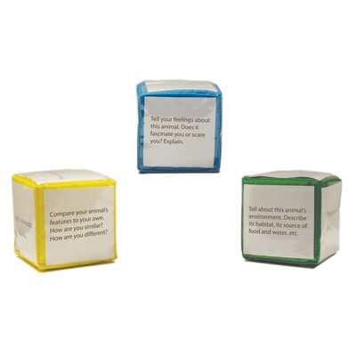 Differentiated Instruction Cubes