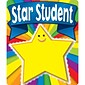 Carson-Dellosa Star Student Braggin’ Badges Stickers, Pack of 24 (CD-168056)