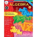 Carson Dellosa® Skills for success Algebra resource book (CD-4324)