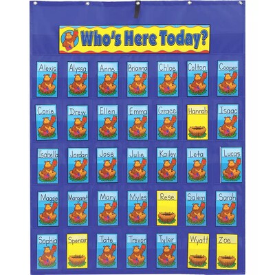 Carson-Dellosa Pocket Charts, Attendance/Multiuse