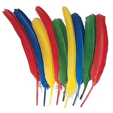 Creativity Street® Quill Feathers, Assorted Color, 24/Pack (CK-4503)