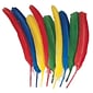 Creativity Street® Quill Feathers, Assorted Color, 24/Pack (CK-4503)