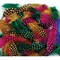 Creativity Street® Spotted Feathers, Assorted Colors (CK-4506)