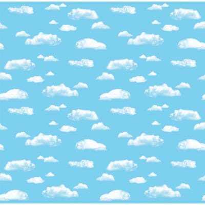 Pacon Corobuff Paper Roll, 48 x 12.5, Clouds (PAC12850)