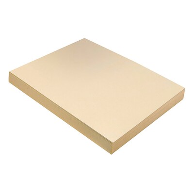 Pacon Tagboard, 9 x 12, Manila, 100/Pack (PAC5111)