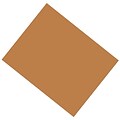 Pacon® Coated Poster Board, Brown, 22 x 28, 25 Sheets (PAC53931)