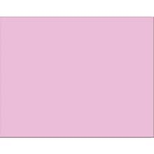 Pacon Railroad Poster Board, 22 x 28, Pink, 25 Sheets/Carton