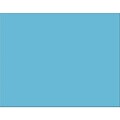 Pacon Railroad 6-ply Poster Board, 22 x 28, Light Blue, 25 Sheets (PAC54851)