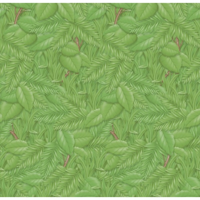 Pacon Fadeless Bulletin Board Art Paper Roll, 48 x 50, Tropical Foliage (PAC56255)