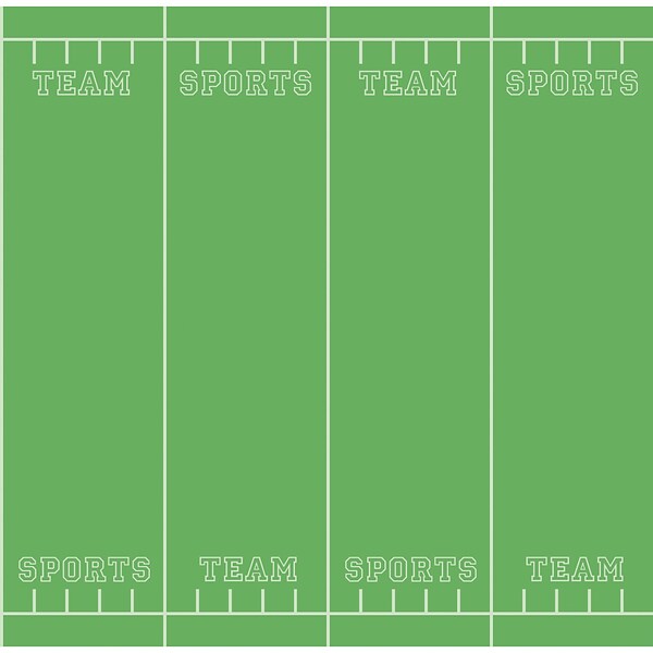 Pacon Fadeless Bulletin Board Art Paper Roll, 48 x 50, Team Sports (PAC56275)