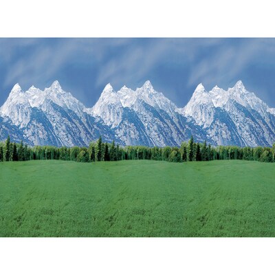 Pacon Fadeless Bulletin Board Art Paper Roll, 48 x 50, Mountains (PAC56875)