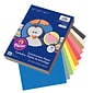 Pacon® Lightweight Construction Paper, 9" x 12", 10 Assorted Colors, 200 Sheets (PAC94450)