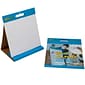 GoWrite! Tabletop Easel Pad, 15" x 16", 10 Sheets/Pad (PACTEP1615)
