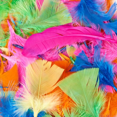 Charles Leonard Creative Arts™ Turkey Feathers, Hot Color