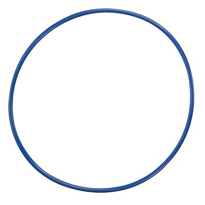 Champion Sports Plastic Hoops, Assorted, 12/Pack (CHSH2)