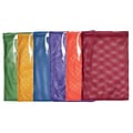 Champion Sports 12x18 Nylon-Mesh Equipment Bag. Assorted Colors, Set of 6 (CHSMB18SET)